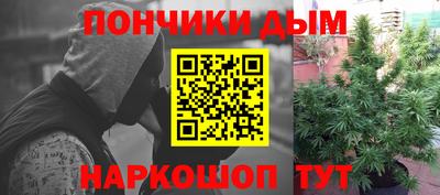 PSILOCYBIN Заволжье